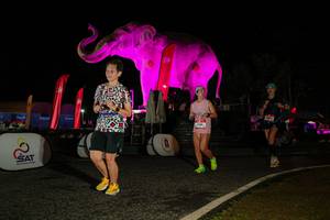 BIB: 
                            <button type="button" onclick="openModal(26534305)" class="btn btn-primary btn-sm float-right btn-popup" data-toggle="modal" data-target=".modal-high-quality">
                        <i class="fas fa-shopping-cart"></i> Add to Cart
                    </button>
                                            <button type="button" onclick="isThisMe(26534305, true)" class="btn btn-success btn-sm float-right btn-popup btn-isme hidden" data-toggle="tooltip" data-placement="bottom" title="นี่คือรูปของคุณใช่ไหม คลิกที่นี่เพื่อเอาเข้าอัลบั้ม">
                        <i class="fas fa-plus"></i> Add to album
                    </button>
                    <button type="button" onclick="isThisMe(26534305, false)" class="btn btn-warning btn-sm float-right btn-popup btn-isnotme hidden">
                        <i class="fas fa-ban"></i> Remove from album
                    </button>